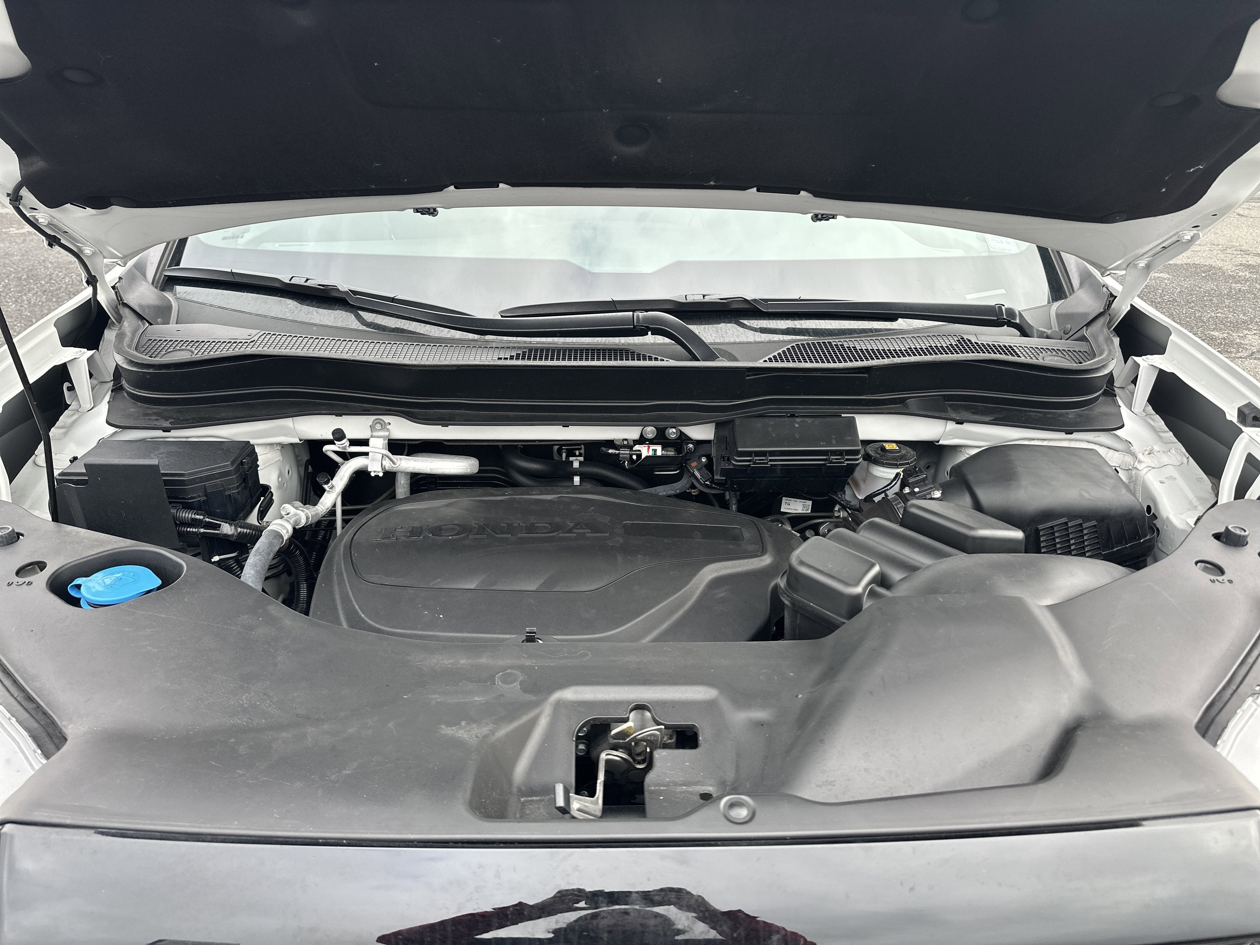 2023 Honda Passport TrailSport