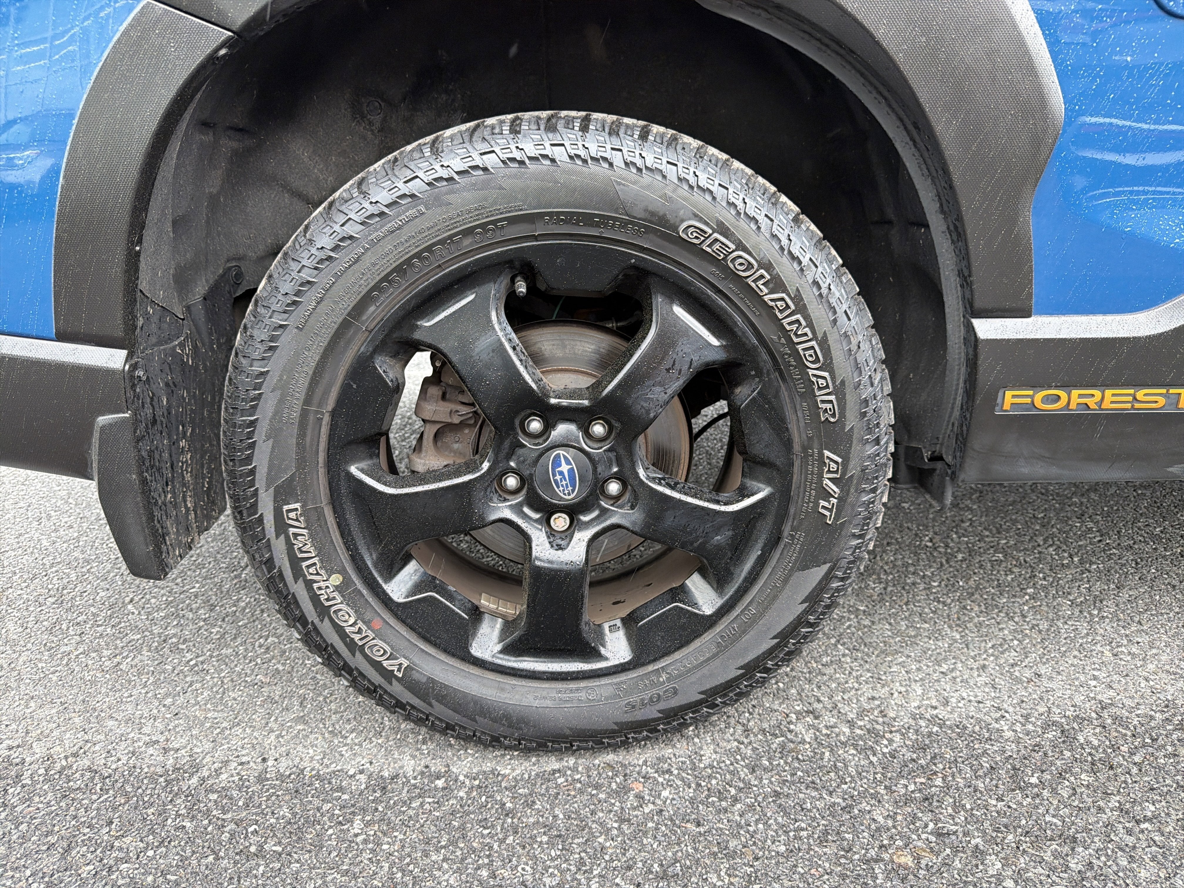 2023 Subaru Forester Wilderness