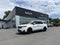2024 Kia Carnival SX