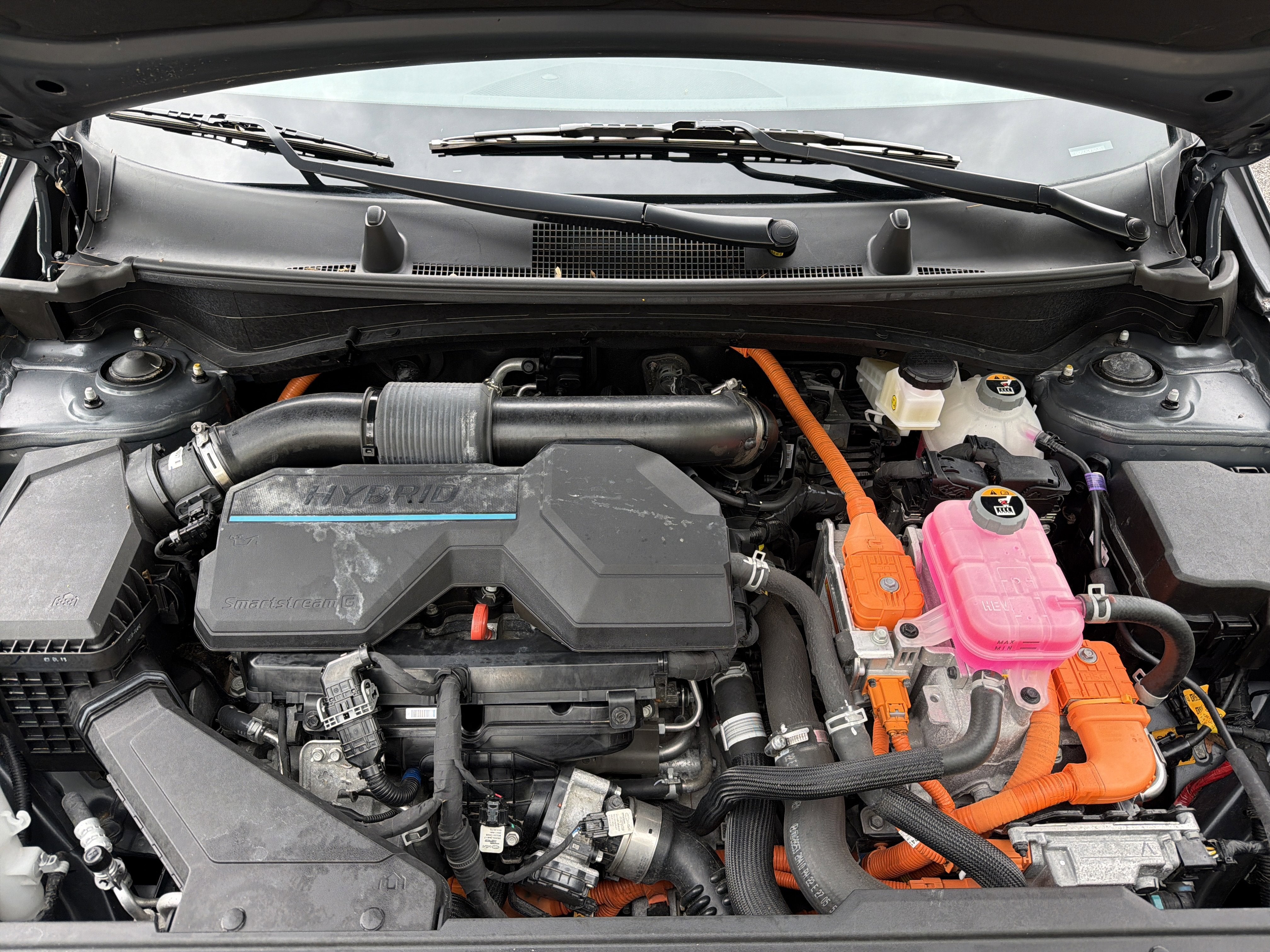 2023 Kia Sportage Hybrid LX